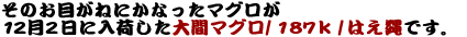 ���̂��ڂ��˂ɂ��Ȃ����}�O����12��2���ɓ��ׂ�����ԃ}�O��/187K/�͂���ł��B