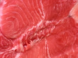 大間まぐろ