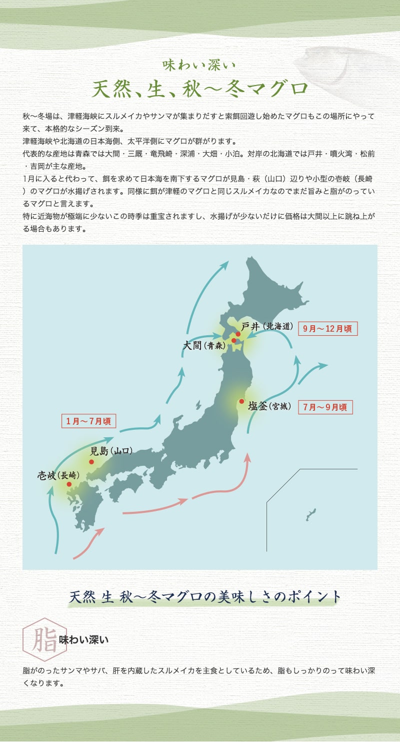 秋冬マグロ