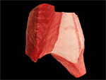 4.腹(カミ)・上部背面