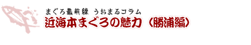 マグロ最前線 うおまるコラム/近海本まぐろの魅力(勝浦編)