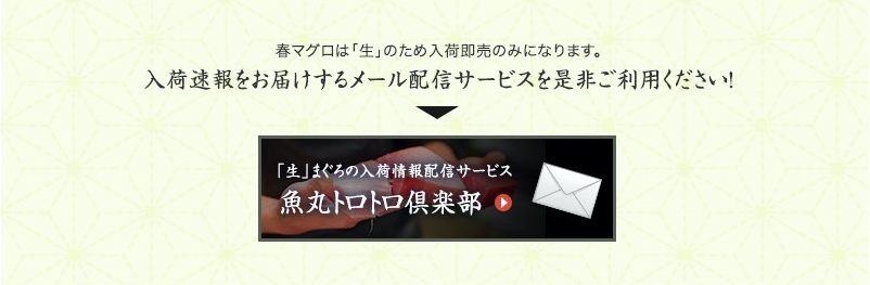 春マグロは「生」のため入荷即売のみになります。入荷速報をお届けするメール配信サービスお是非ご利用ください!