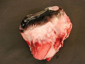 蓄養本鮪(頭肉) 蓄養本まぐろ (まぐろの目玉)