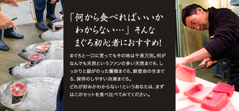 「何から食べればいいかわからない…」 そんなまぐろ初心者におすすめ！ まぐろのおいしさやプロだからわかる良し悪しを丸山さん目線で紹介します。まぐろのおいしさやプロだからわかる良し悪しを丸山さん目線で紹介します。まぐろのおいしさやプロだからわかる良し悪しを丸山さん目線で紹介します。
まぐろのおいしさやプロだからわかる良し悪しを丸山さん目線で紹介します。マグロは目で食べるともいいます。色鮮やかな赤身は食べても旨い。