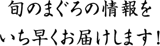 旬の鮪の情報をいち早くお届けします！