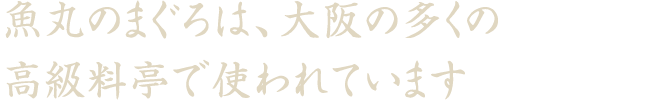 魚丸のまぐろは、大阪の多くの
高級料亭で使われています