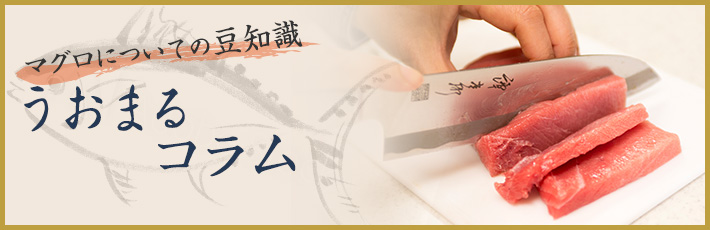 マグロについての豆知識 うおまるコラム