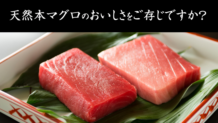 天然本マグロのおいしさをご存じですか？
