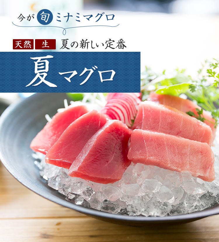 夏まぐろ