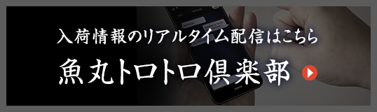 入荷情報のリアルタイム配信はこちら 魚丸トロトロ倶楽部