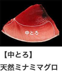 【中とろ】天然ミナミマグロ