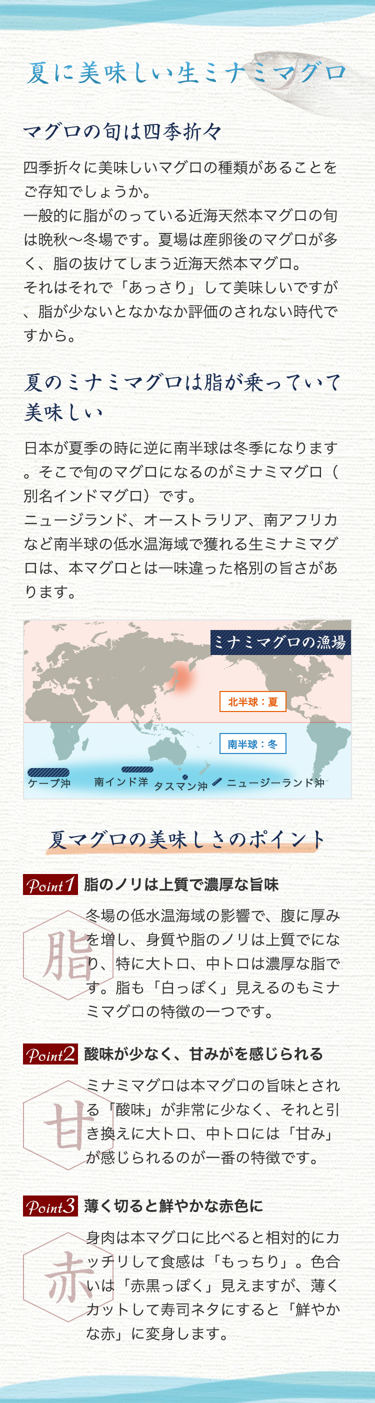夏マグロ