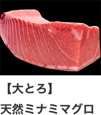 【大とろ】天然ミナミマグロ