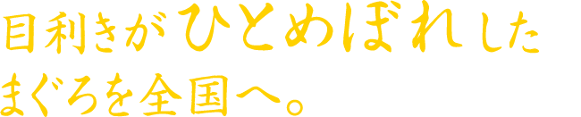 目利きがひとめぼれした
まぐろを全国へ。