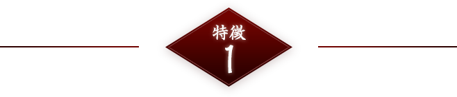 特徴1