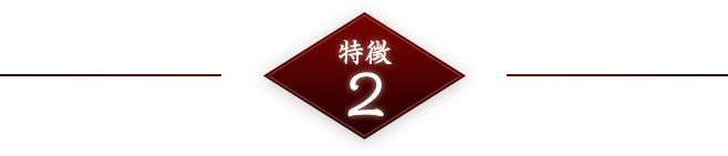 特徴2