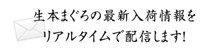 生本まぐろの最新入荷情報をリアルタイムで配信します！